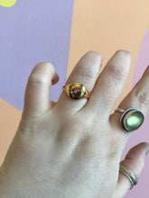 Load image into Gallery viewer, Titanium Summer Garden Signet Rings