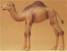 Load image into Gallery viewer, Preiser 47532 1/25 Scale Wild Animal Figures Camel Calf (1 Hump)