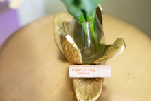Load image into Gallery viewer, Creamy highlighting stick • botanically infused • all natural