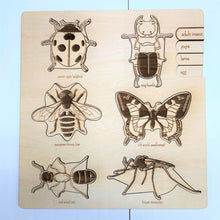 Load image into Gallery viewer, **Pre-order (Ships in 3-4 Weeks)**Educational Multi-Layered Wooden Puzzle
