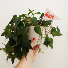 Load image into Gallery viewer, #1 MOM Pennant Flag | Handmade Plant or Cake Topper