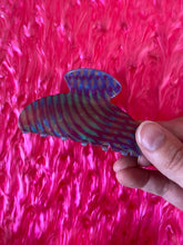 Load image into Gallery viewer, Pop of Color Hair Claw
