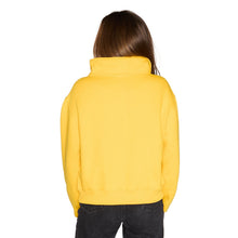 Load image into Gallery viewer, Iowa Hawkeyes Quarter Zip Sweatshirt