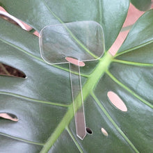 Load image into Gallery viewer, Acrylic Plant Label Stakes