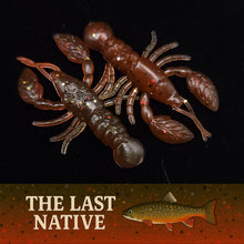 Load image into Gallery viewer, 1.5" Crawdad "The Mountain Laurel Craw"