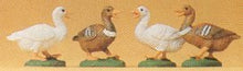 Load image into Gallery viewer, Preiser 47077 1/25 Scale Wild Animal Figures -- Ducks