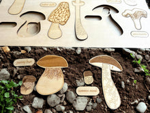 Load image into Gallery viewer, **Pre-order (Ships in 3-4 Weeks)**Educational Multi-Layered Wooden Puzzle