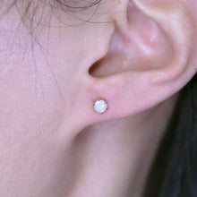 Load image into Gallery viewer, Round Shaped Six Prong Australian Solid Opal Stud Earrings 14K Yellow Gold