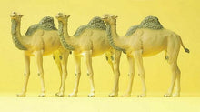 Load image into Gallery viewer, Preiser 20397 HO Scale Animals -- Camels (Dromedary, 1 Hump) pkg(3)