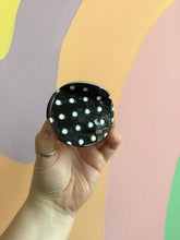Load image into Gallery viewer, Polka Dot Hair Claw