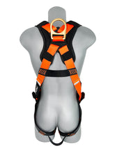 Load image into Gallery viewer, Frontline 50VTB Combat Economy Series Full Body Harness with Tongue Buckle Belt M/L