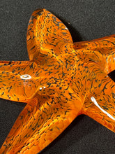 Load image into Gallery viewer, Mandarin Starfish