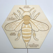 Load image into Gallery viewer, **Pre-order (Ships in 3-4 Weeks)**Educational Multi-Layered Wooden Puzzle