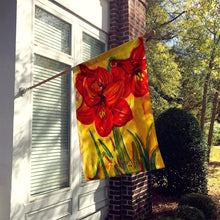 Load image into Gallery viewer, Flower - Amaryllis Flag Canvas House Size