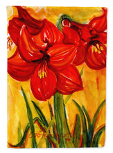 Load image into Gallery viewer, Flower - Amaryllis Flag Canvas House Size