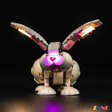 Load image into Gallery viewer, Light Kit for LEGO White Rabbit #31133
