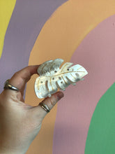 Load image into Gallery viewer, Monstera Hair Claw