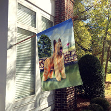 Load image into Gallery viewer, Briard by the stone fence Flag Canvas House Size