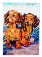 Load image into Gallery viewer, Long Hair Red Dachshund Flag Canvas House Size
