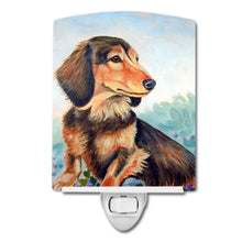 Load image into Gallery viewer, Long Hair Chocolate and Cream Dachshund Ceramic Night Light 7023CNL