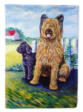 Load image into Gallery viewer, Briard Training Day for the puppy Garden Flag – Decorative Outdoor Yard Flag