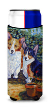 Load image into Gallery viewer, Cardigan and Pembroke Corgi Slim Can Hugger – Fun &amp; Functional Drink Coolers 7094MUK