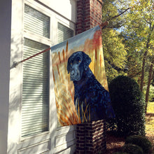 Load image into Gallery viewer, Curly Coated Retriever Flag Canvas House Size