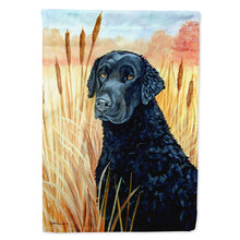 Load image into Gallery viewer, Curly Coated Retriever Flag Canvas House Size