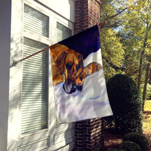 Load image into Gallery viewer, Fawn Natural Great Dane and Puppy Flag Canvas House Size