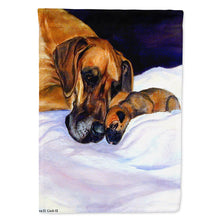 Load image into Gallery viewer, Fawn Natural Great Dane and Puppy Flag Canvas House Size