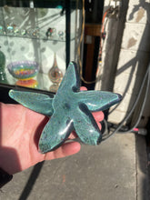 Load image into Gallery viewer, Coronado Sparkle Starfish