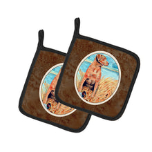 Load image into Gallery viewer, Chesapeake Bay Retriever Pot Holders - Set of 2 Decorative Kitchen Helpers | Made in the USA 7112PTHD