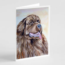 Load image into Gallery viewer, Newfoundland Greeting Cards -  Blank Note Cards – 8-Pack of Artist-Designed Cards with Envelopes