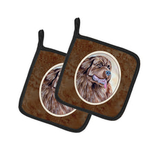 Load image into Gallery viewer, Newfoundland Pot Holders - Set of 2 Decorative Kitchen Helpers | Made in the USA 7119PTHD