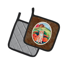 Load image into Gallery viewer, Tabby Cat in Pumpins Pot Holders - Set of 2 Decorative Kitchen Helpers | Made in the USA 7123PTHD
