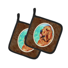 Load image into Gallery viewer, Bloodhound Pot Holders - Set of 2 Decorative Kitchen Helpers | Made in the USA 7224PTHD