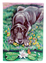 Load image into Gallery viewer, Great Dane Flag Canvas House Size