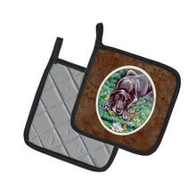 Load image into Gallery viewer, Blue Great Dane Pot Holders - Set of 2 Decorative Kitchen Helpers | Made in the USA 7235PTHD