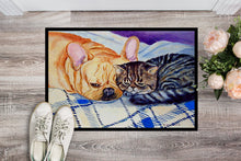 Load image into Gallery viewer, Cat Doormat - 18x27 Decorative Floor Mat – Indoor/Outdoor Rug with Artistic Flair Doormat