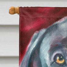 Load image into Gallery viewer, Great Dane Natural Ears Blue Collar Flag Canvas House Size 7310CHF