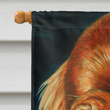 Load image into Gallery viewer, Irish Setter Serious Flag Canvas House Size 7315CHF