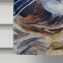 Load image into Gallery viewer, Maine Coon Sissy Flag Canvas House Size 7391CHF