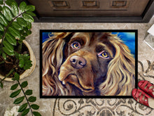 Load image into Gallery viewer, Boykin Spaniel Doormat - 24x36 Decorative Floor Mat – Indoor/Outdoor Rug