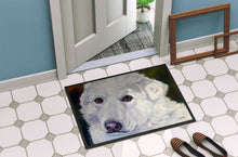 Load image into Gallery viewer, Great Pyrenees Contemplation Doormat - 18x27 Decorative Floor Mat – Indoor/Outdoor Rug with Artistic Flair 7418MAT