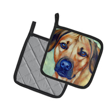 Load image into Gallery viewer, Rhodesian Ridgeback Pot Holders - Set of 2 Decorative Kitchen Helpers | Made in the USA 7437PTHD