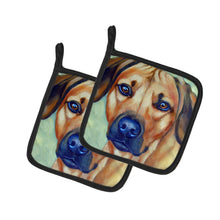 Load image into Gallery viewer, Rhodesian Ridgeback Pot Holders - Set of 2 Decorative Kitchen Helpers | Made in the USA 7437PTHD