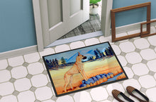 Load image into Gallery viewer, Great Dane Indoor Outdoor Mat 18x27 Doormat
