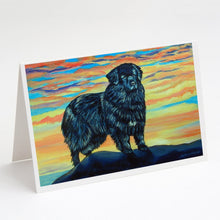 Load image into Gallery viewer, Newfoundland Greeting Cards -  Blank Note Cards – 8-Pack of Artist-Designed Cards with Envelopes
