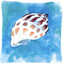 Load image into Gallery viewer, Shells Decorative   Canvas Fabric Pillow