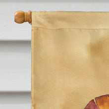 Load image into Gallery viewer, Shrimp  Flag Canvas House Size